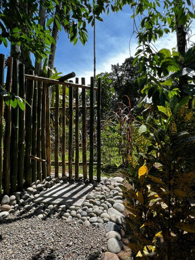 Villa Whispering Wisdom à Cahuita Extérieur photo